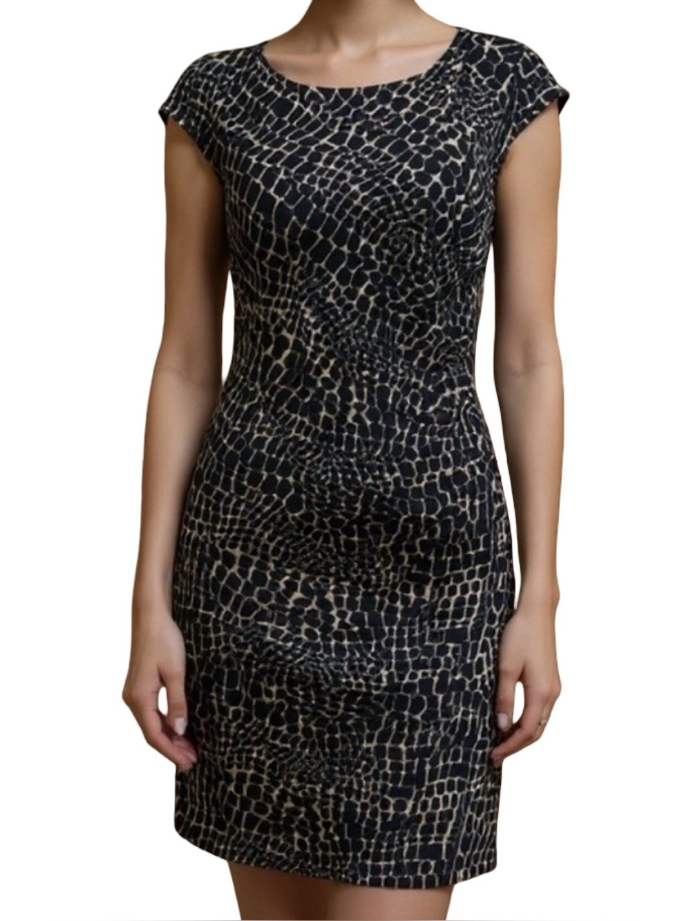 NEW Donna Buchman NWT Side Ruffle PAPRARPTLE Size L Dress